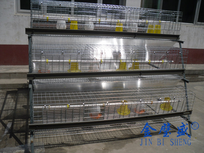 �A��ʽ�B(y��ng)�u�O(sh��)��-�r�u