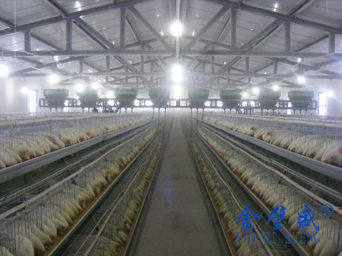 �A��ʽ�B(y��ng)�u�O��-���u