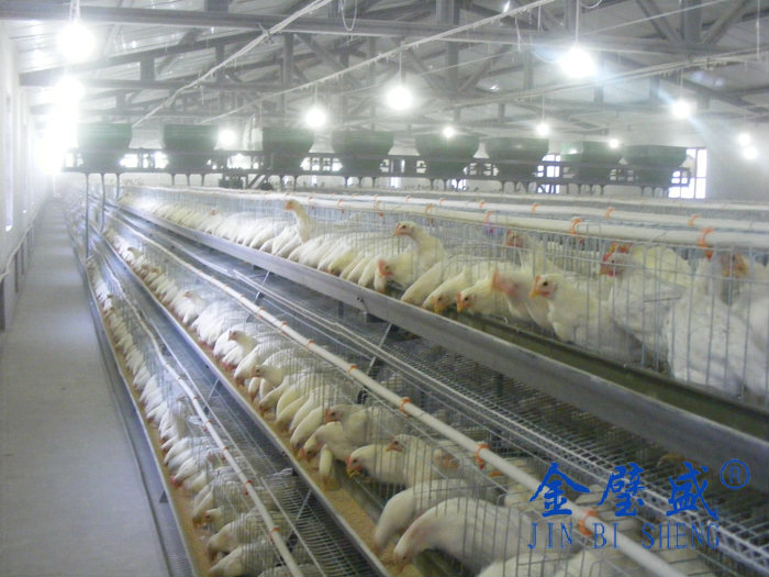 �A��ʽ�B(y��ng)�u�O��-���u