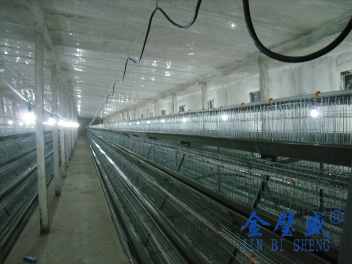 �A��ʽ�B(y��ng)�u�O��-���u