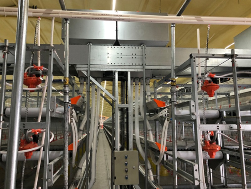 ȫ�Ԅ��B(y��ng)�u�O(sh��)��-���u