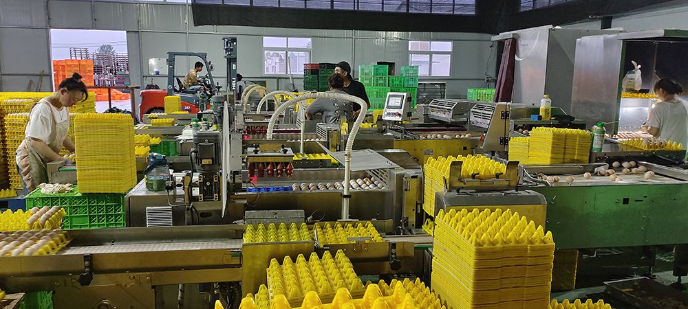 ���Pʽ�ּ�(j��)�b�м�(j��)��ÿ