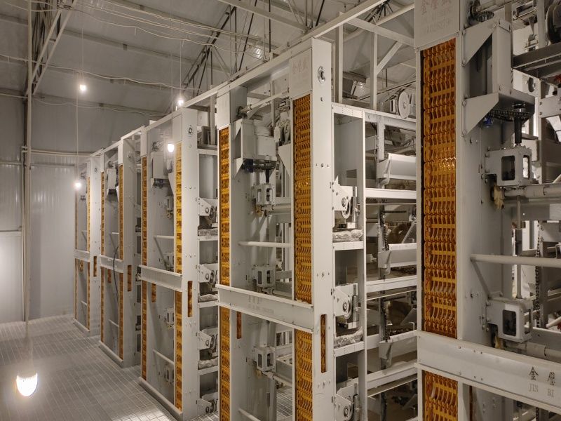 �����C(j��)