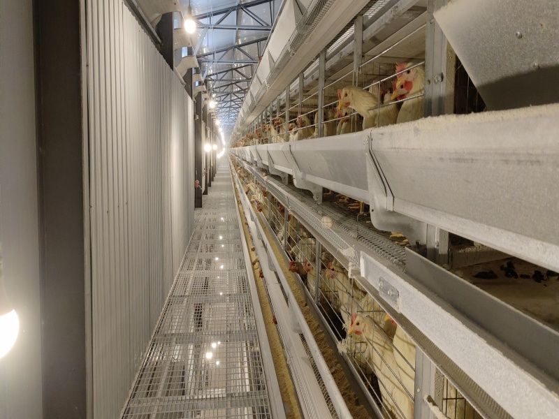 �ӯBʽ�B(y��ng)�u�O(sh��)��-���u